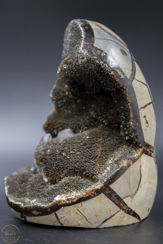 Wilde Septarie sculptuur - 943 gram