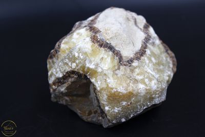 Septarie ruw 823 gram
