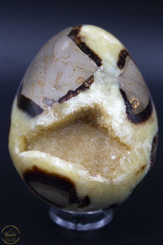 Septarie ei - 636 gram