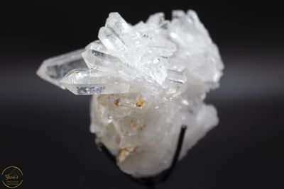 Lemurian cluster op standaard.