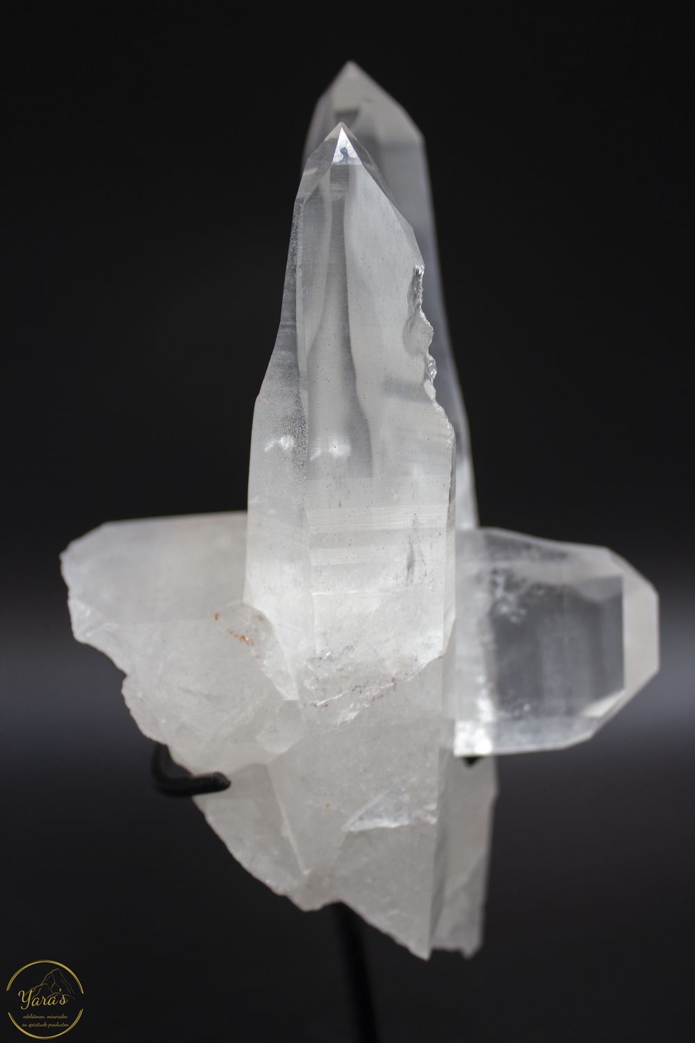 Lemurian Cluster op standaard