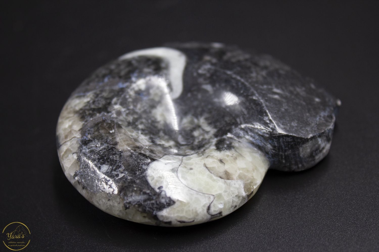 Goniotiet 100 gram