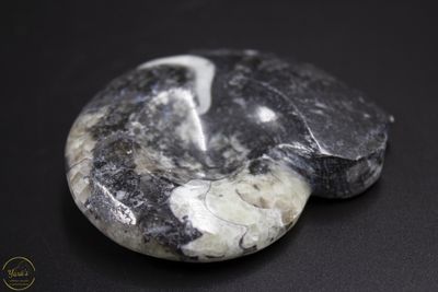 Goniotiet 100 gram