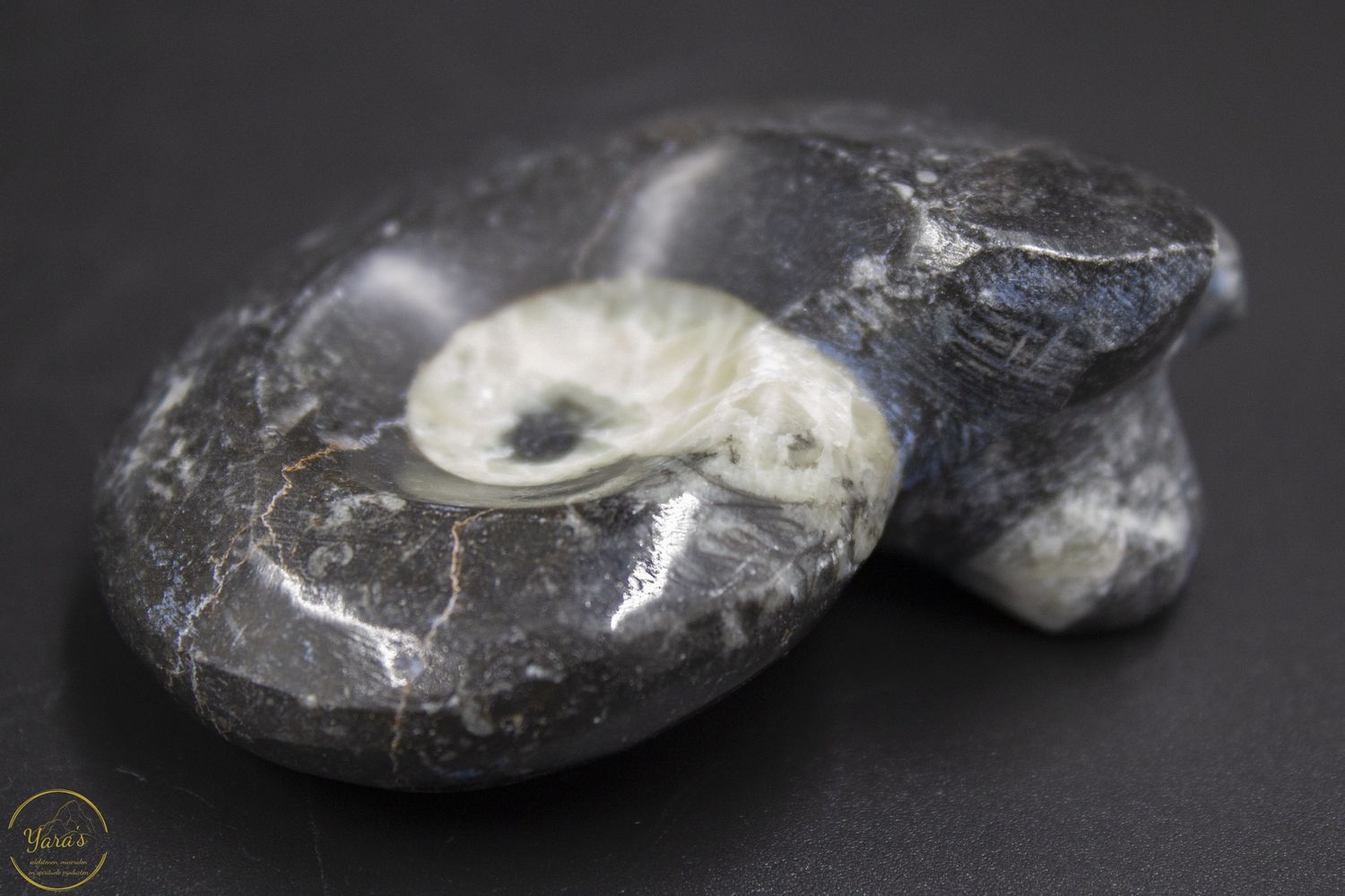 Goniotiet 114 gram