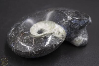Goniotiet 114 gram