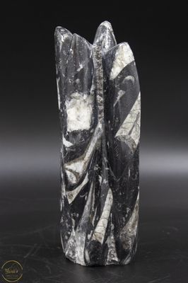 Orthoceras pilaar 1.5 kg