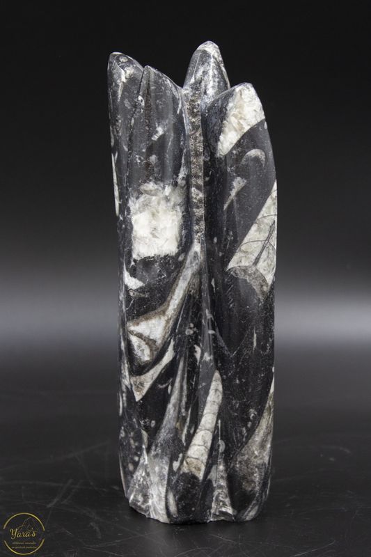 Orthoceras pilaar 1.5 kg