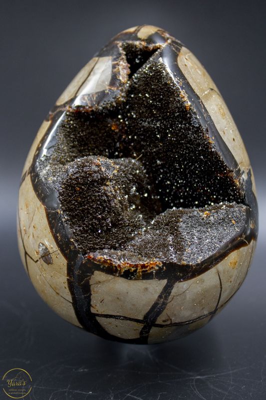 Wilde septarie ei - 1.57kg