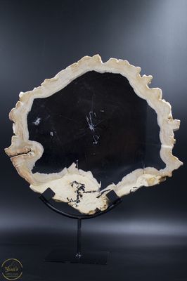 Versteend hout schijf op standaard 3.7kg