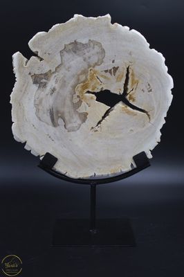 Versteend hout schijf op standaard 2.13kg