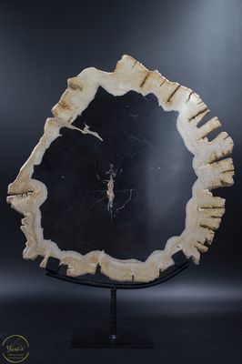 Versteend hout schijf op standaard 4.9kg