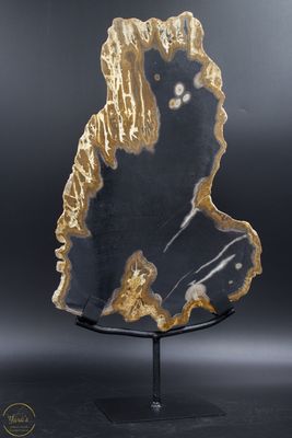 Versteend hout schijf op standaard 2.88kg