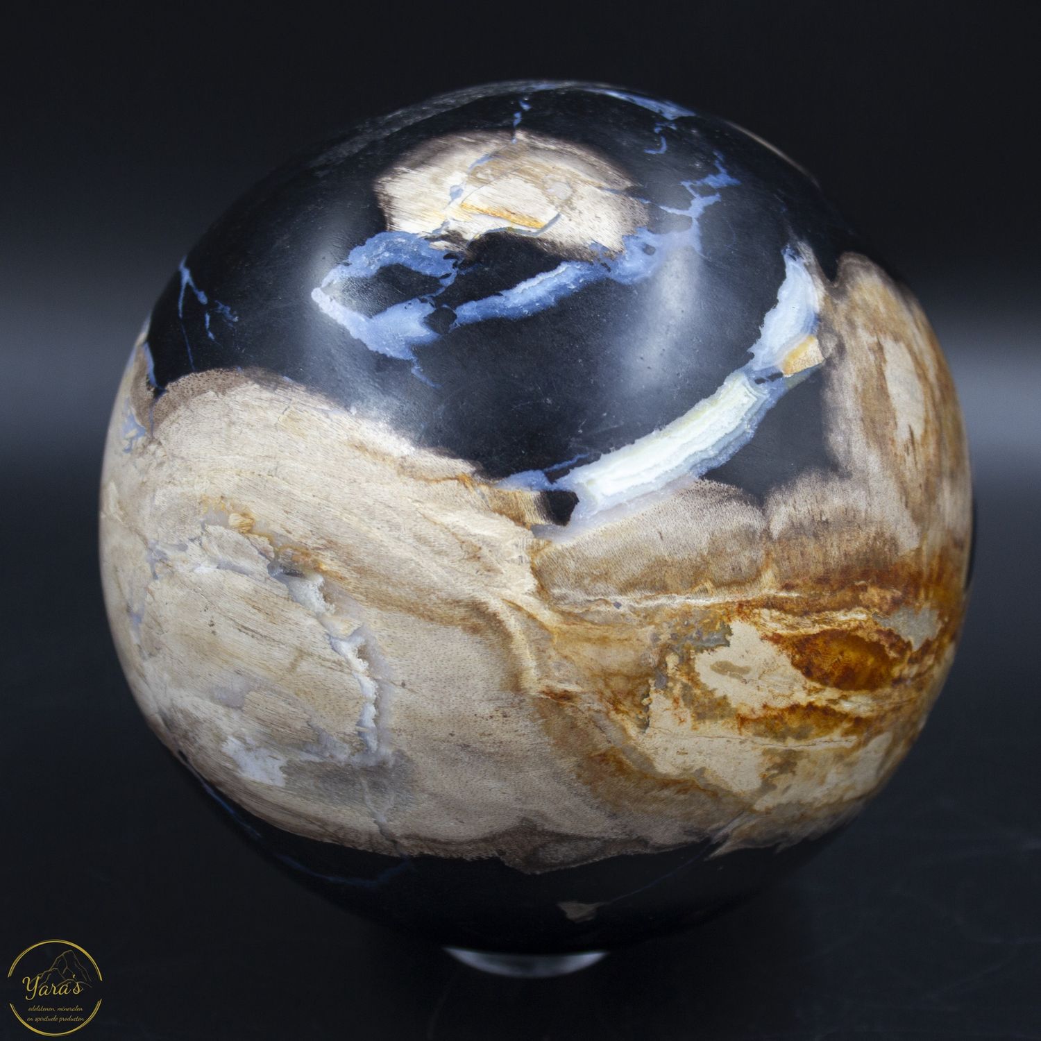 Versteend hout bol 15cm 3.8kg