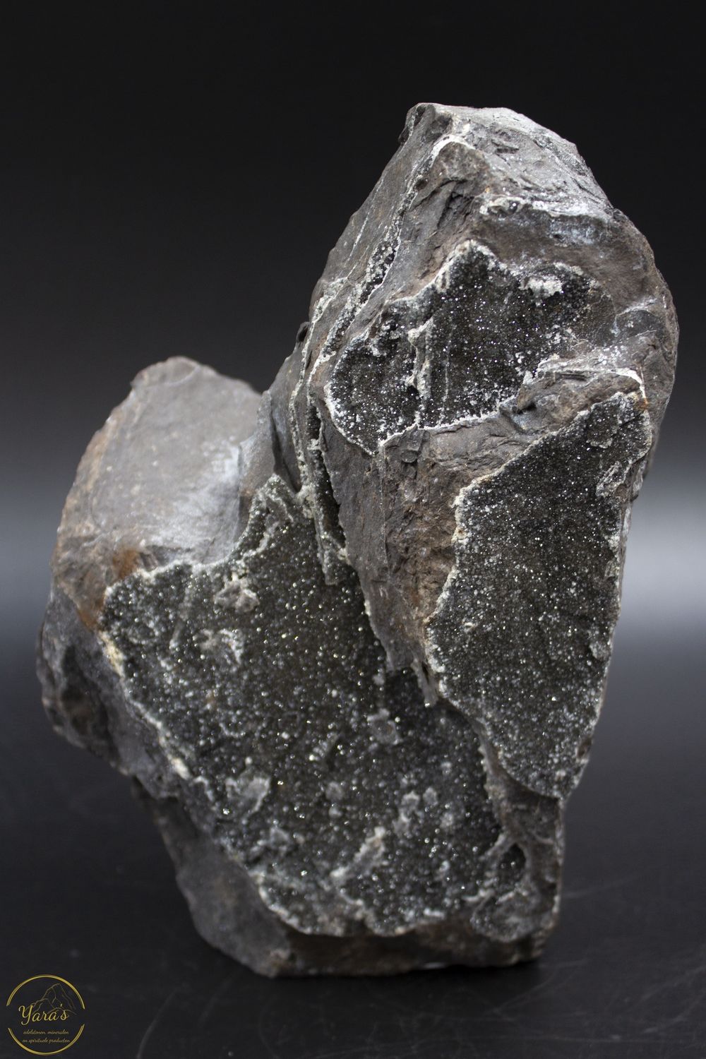Versteend hout druzy 2.33kg