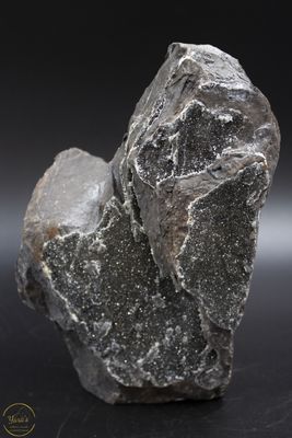 Versteend hout druzy 2.33kg