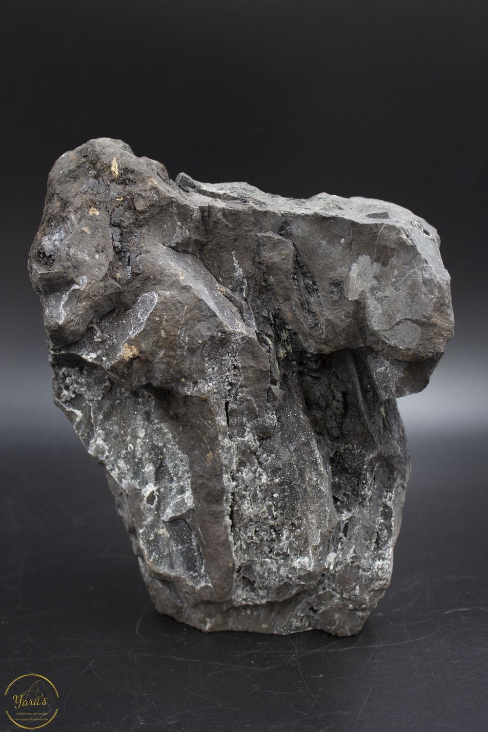 Versteend hout druzy 4.03kg