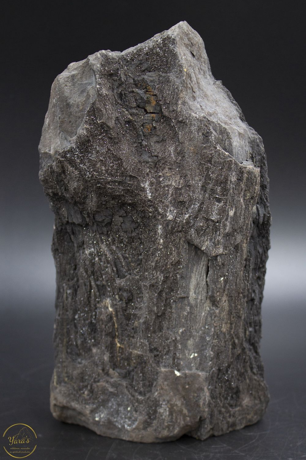 Versteend hout druzy 2.03kg