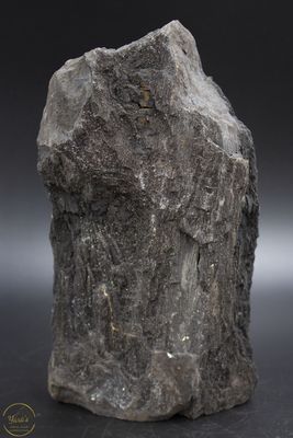 Versteend hout druzy 2.03kg