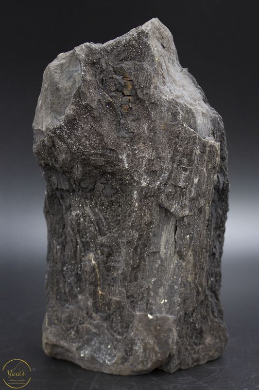 Versteend hout druzy 2.03kg