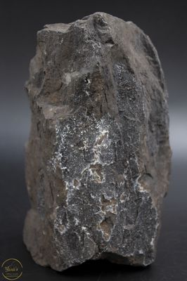 Versteend hout druzy 1.25kg