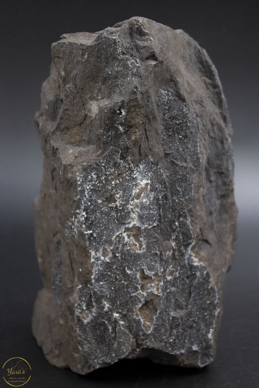 Versteend hout druzy 1.25kg