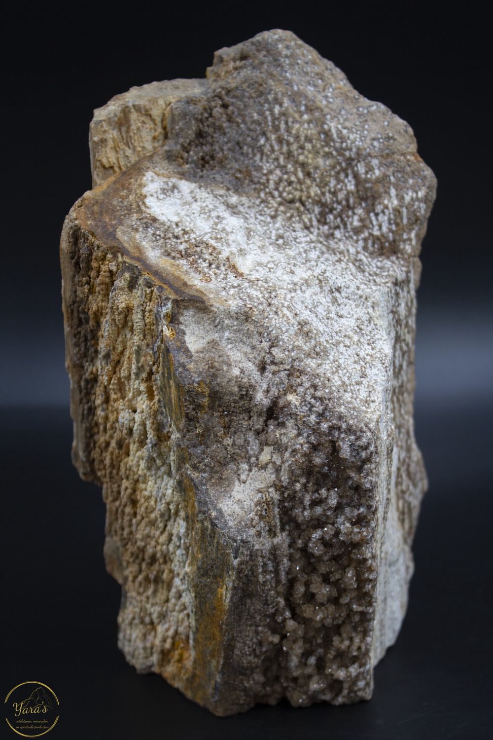 Versteend hout druzy 3.07kg