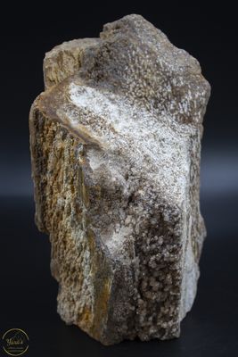 Versteend hout druzy 3.07kg