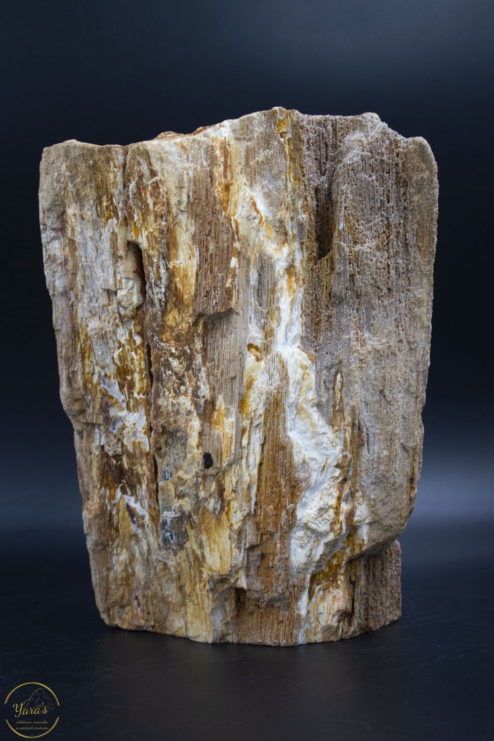 Versteend hout druzy  8.62kg