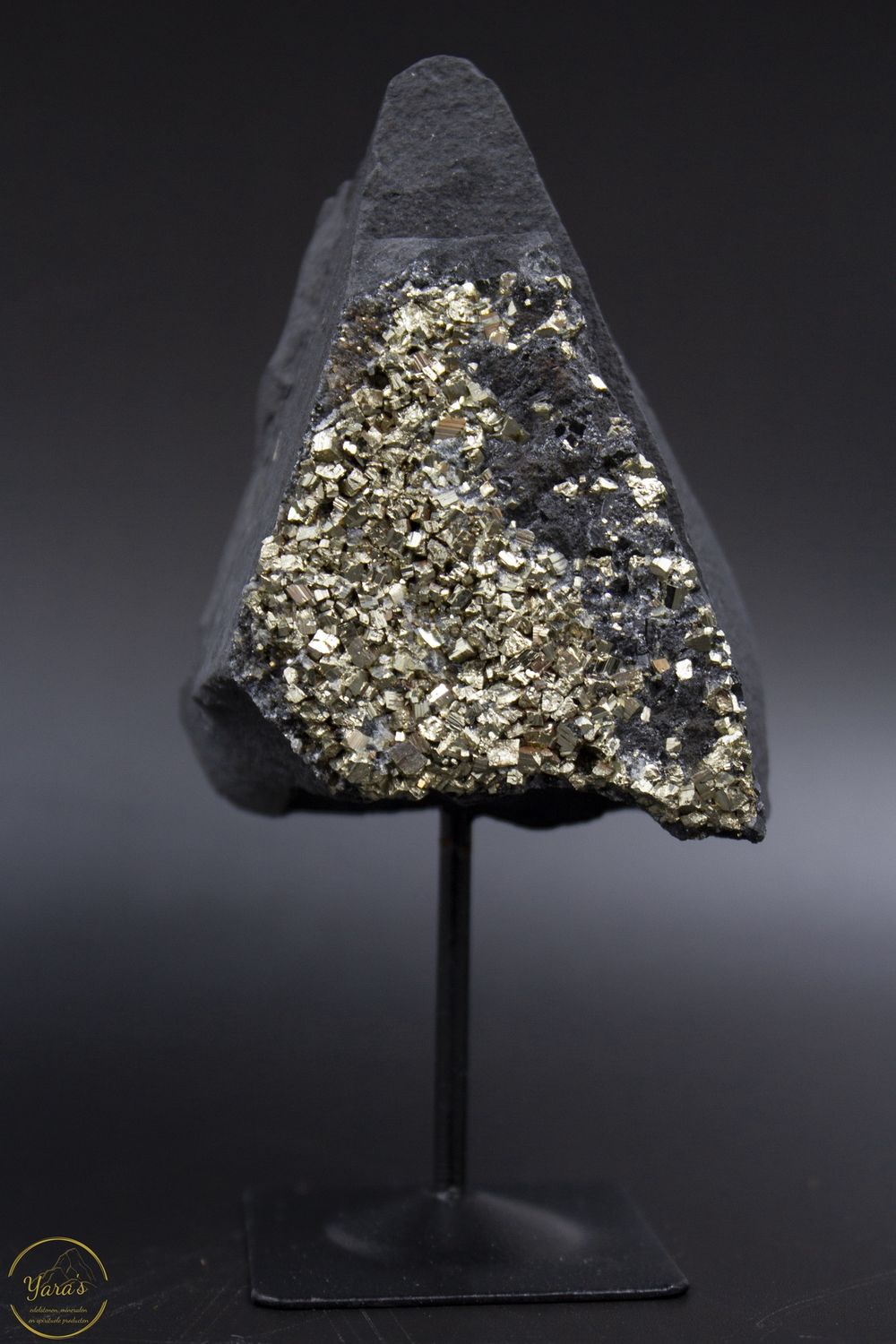Argilliet met pyriet op standaard 222 gram