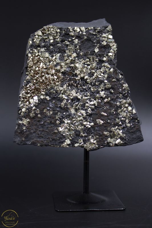 Argilliet met pyriet op standaard 230 gram