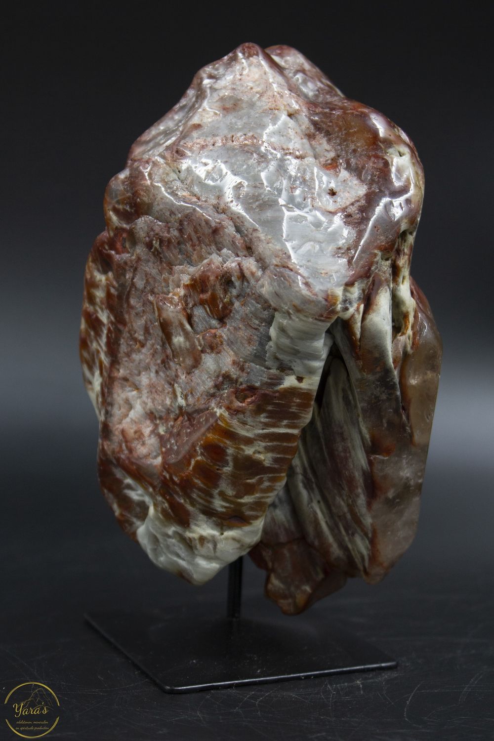 Amfiboolkwarts op standaard 872 gram