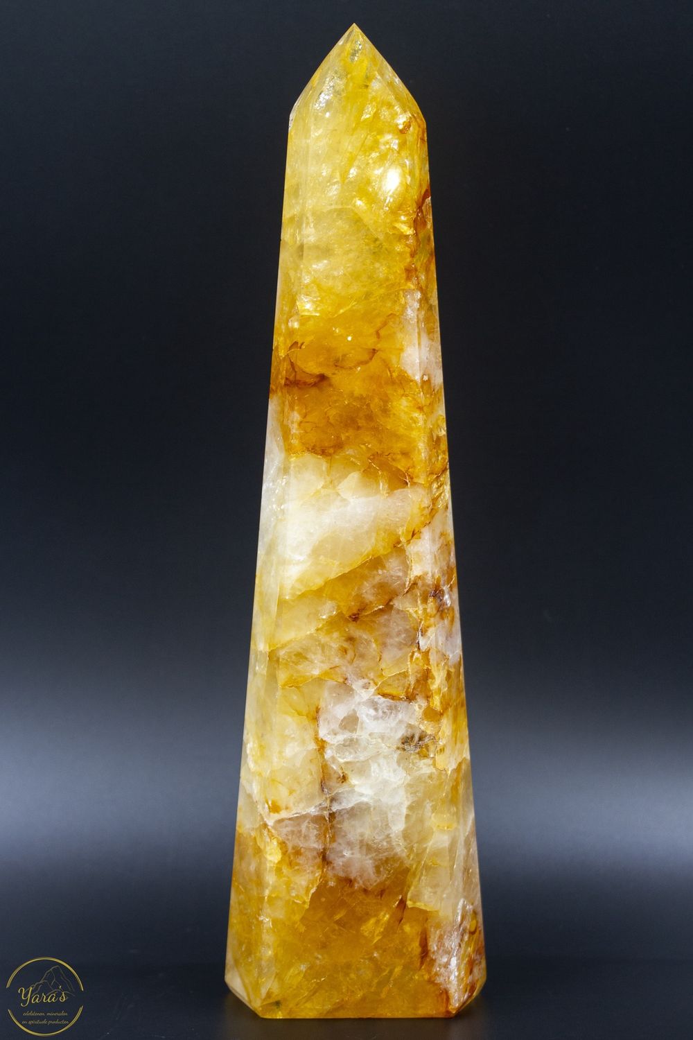 Golden Healer punt 1.3 kg
