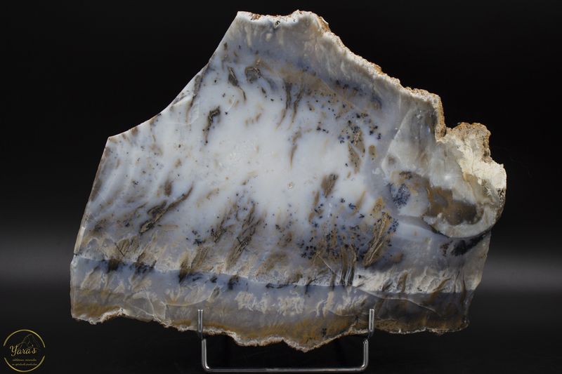 Tijger dendriet agaatschijf Indonesië 1.63kg