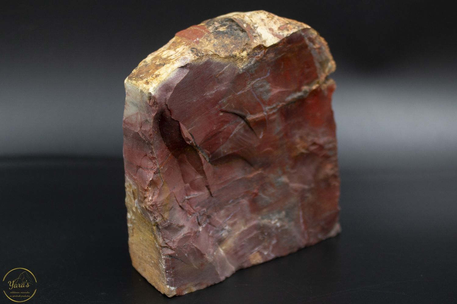 Versteend hout sculptuur ruw 566 gram