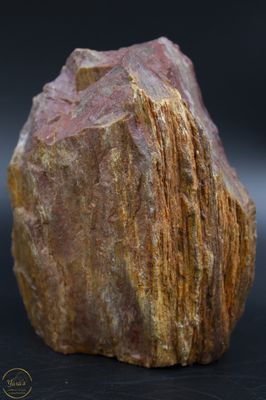 Versteend hout sculptuur ruw 878 gram
