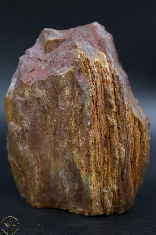 Versteend hout sculptuur ruw 878 gram