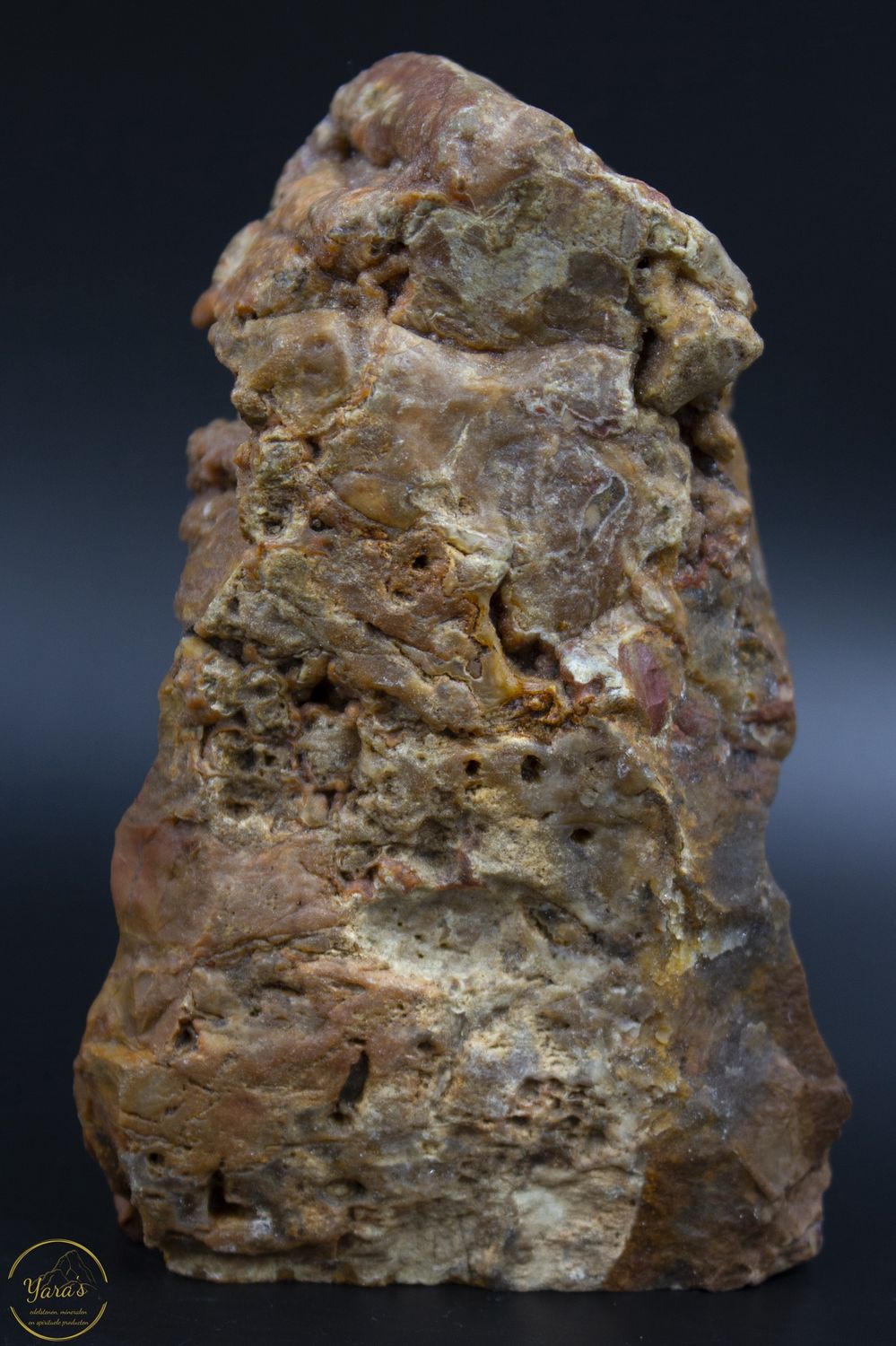 Versteend hout sculptuur ruw 882 gram