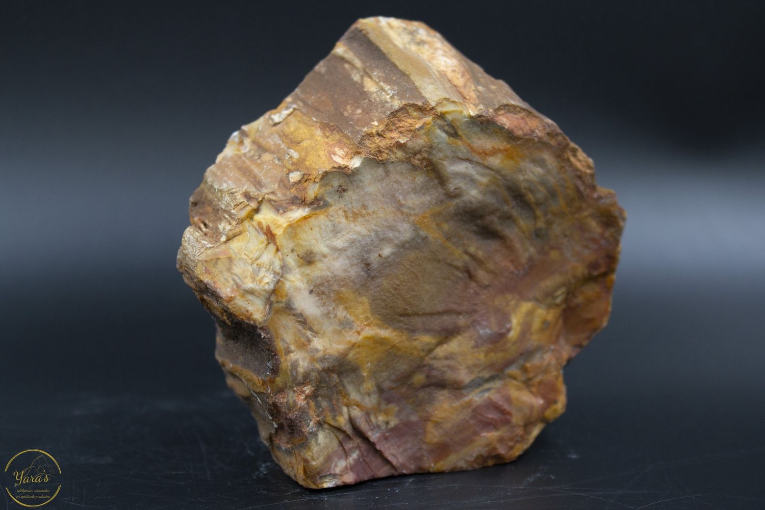 Versteend hout sculptuur ruw 750 gram