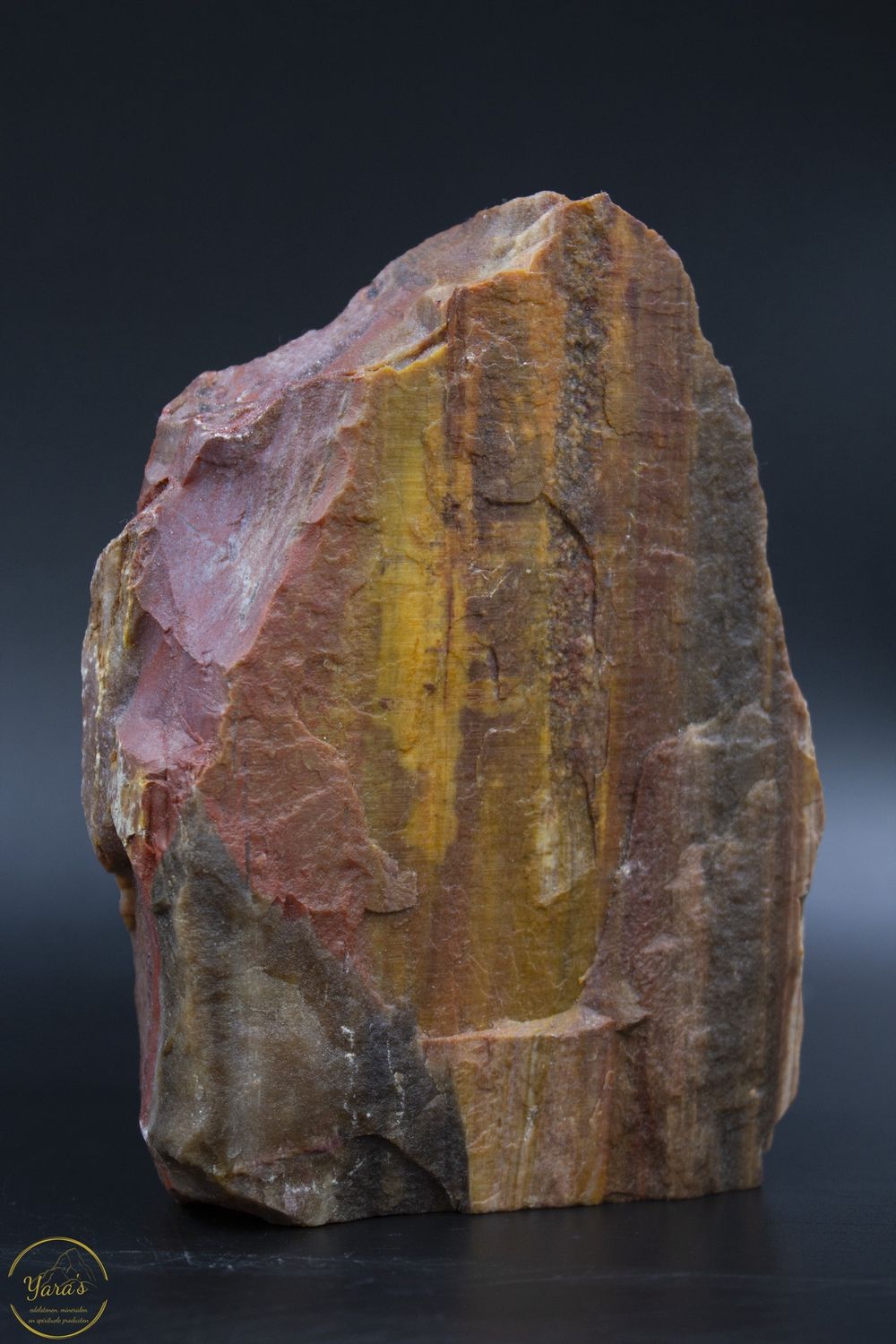Versteend hout sculptuur ruw 848 gram