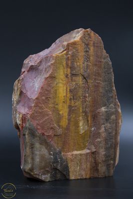 Versteend hout sculptuur ruw 848 gram