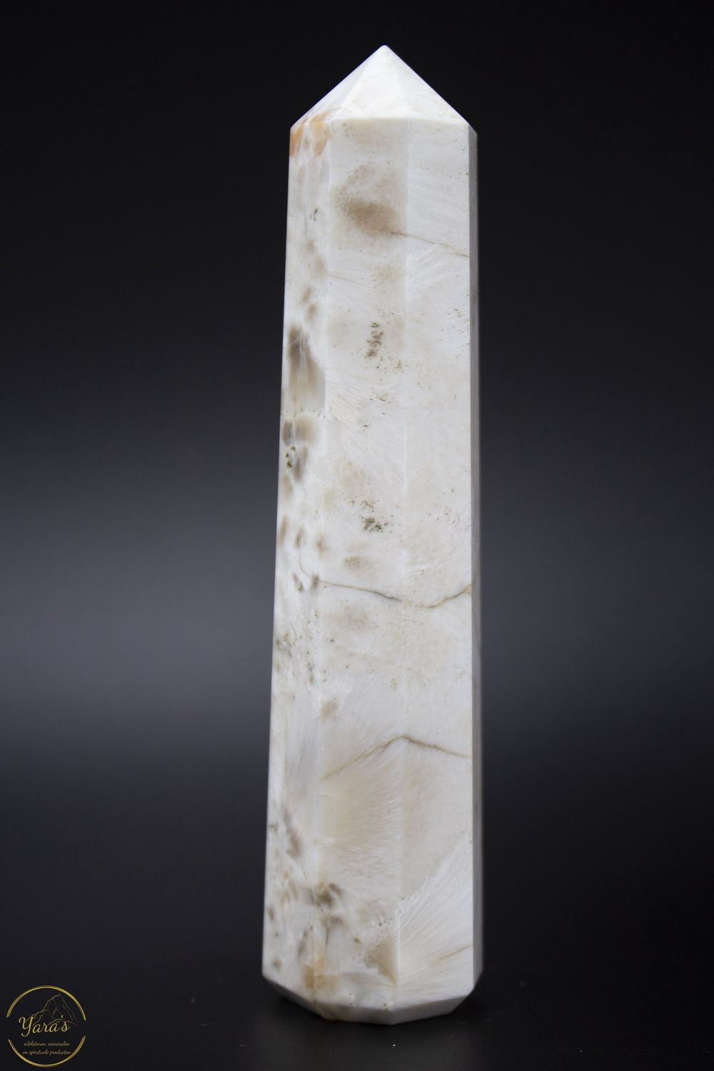 Scoleciet toren 88 gram