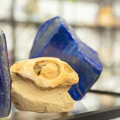 Sale edelstenen &amp; fossielen