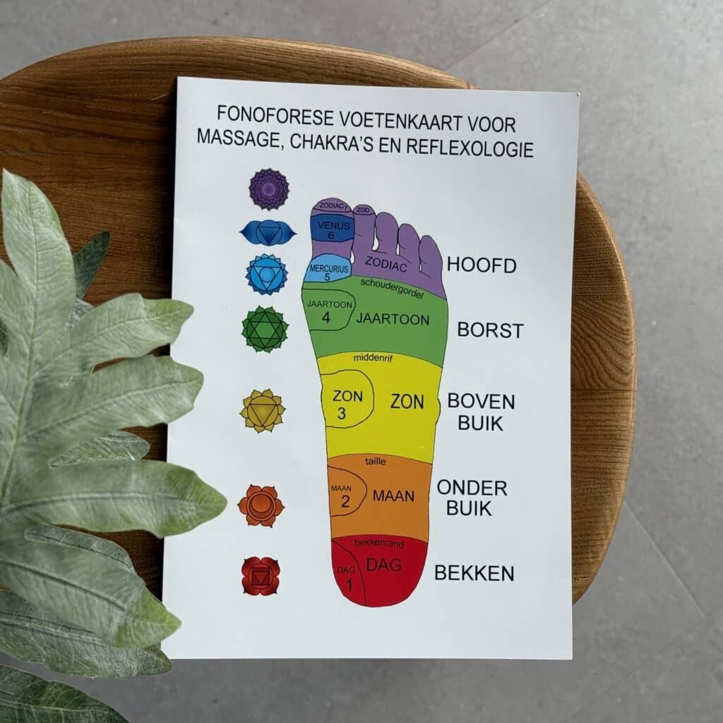Fonoforese voetreflexkaart voor massage,chakra&#39;s en reflexologie