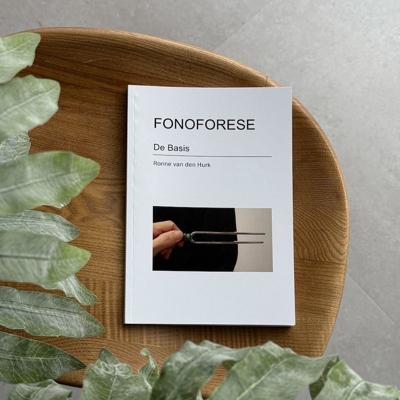 Fonoforese de Basis - Ronne van den Hurk
