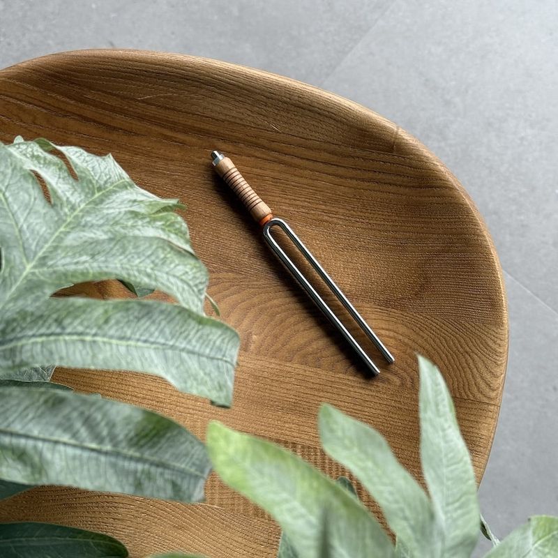 Stemvork 2 Heiligbeen Chakra