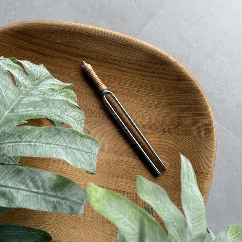 Stemvork 5 Keel Chakra