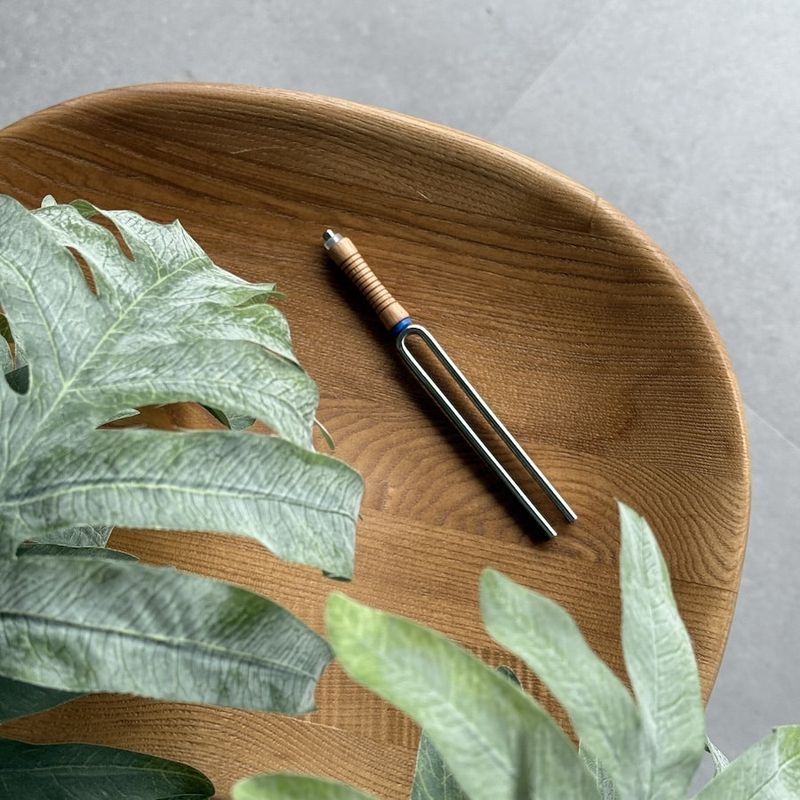 Stemvork 6 Derde Oog Chakra