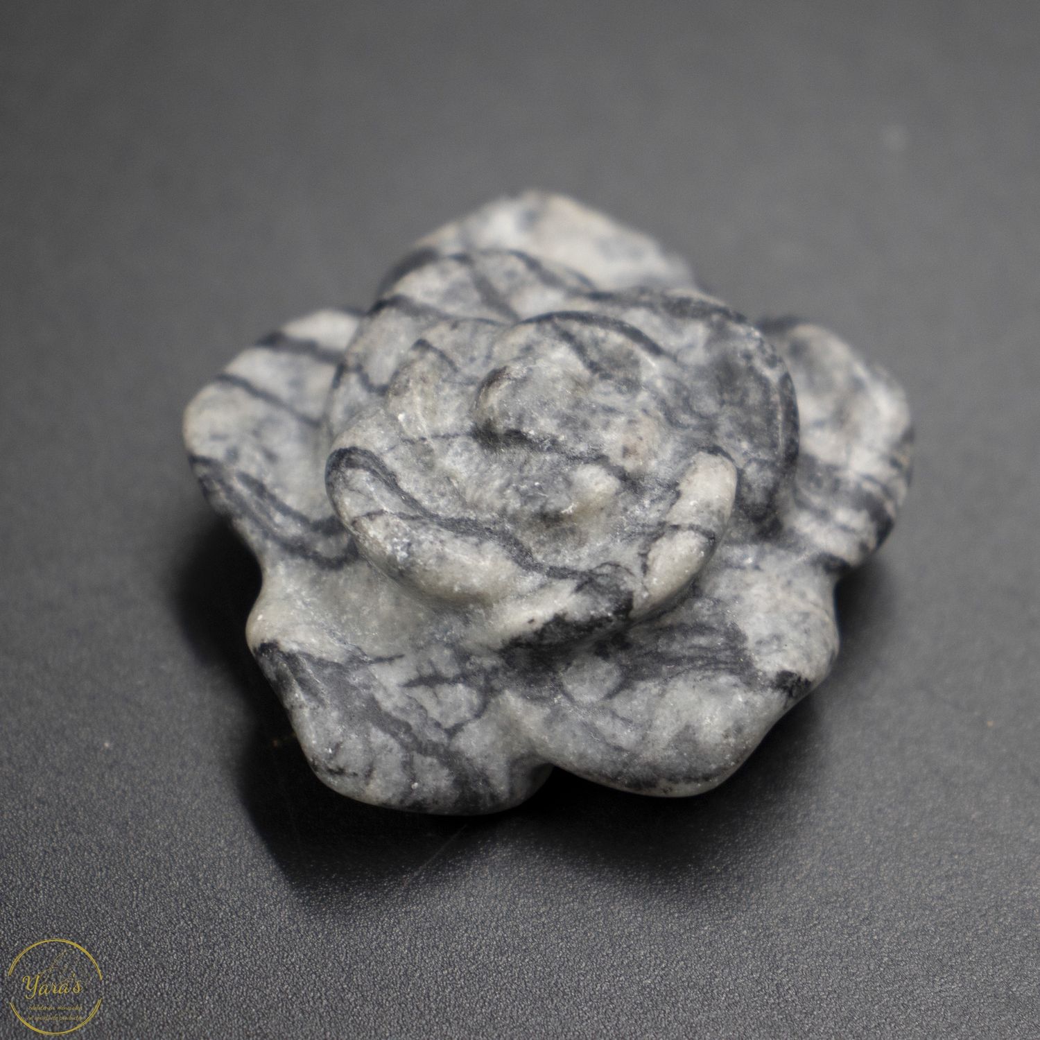 Mini roosjes rhodoniet