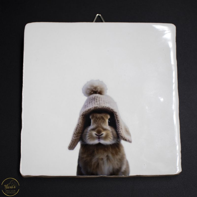 Tegeltje konijn met muts