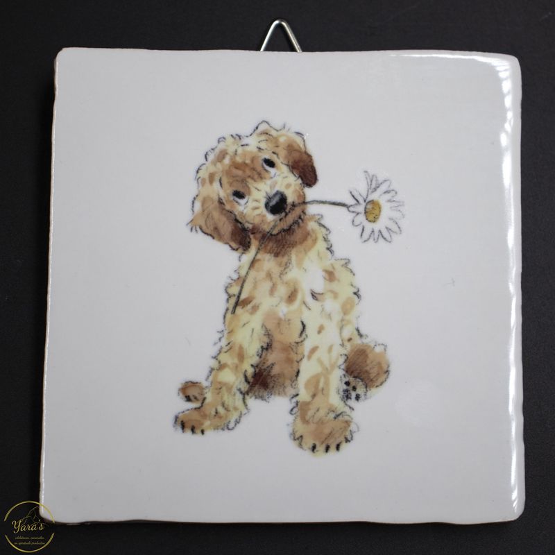 Tegeltje labradoodle